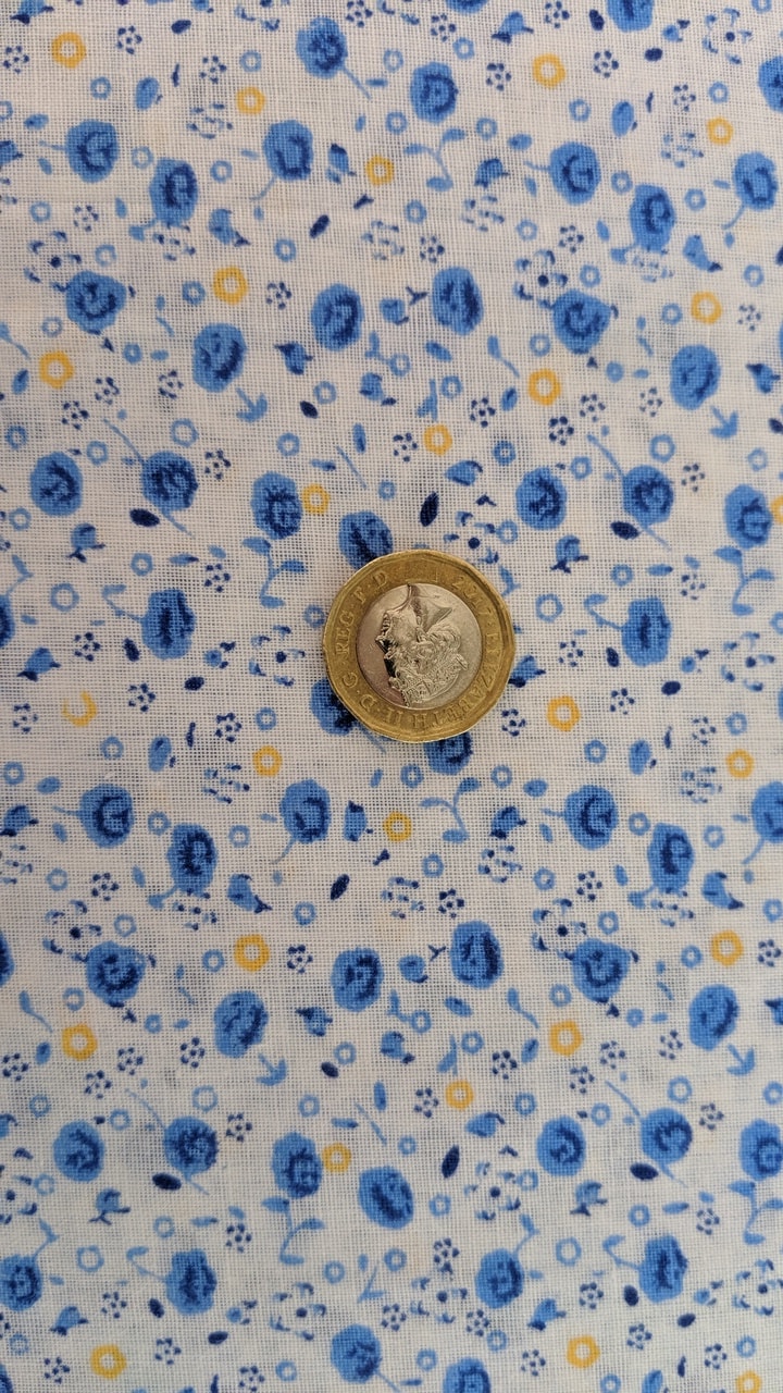 Ditsy Blue Floral Cotton