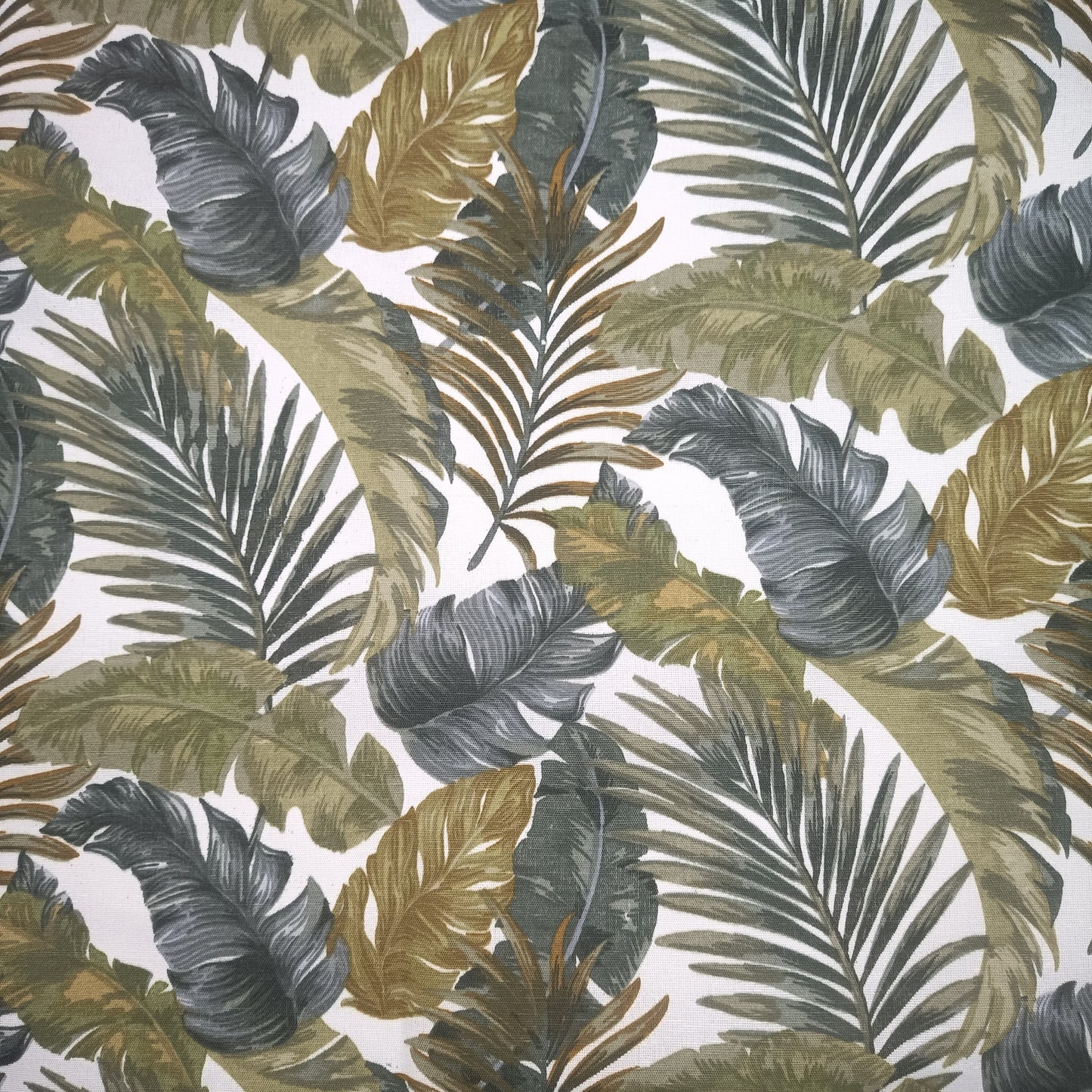Fern Leaves Canvas