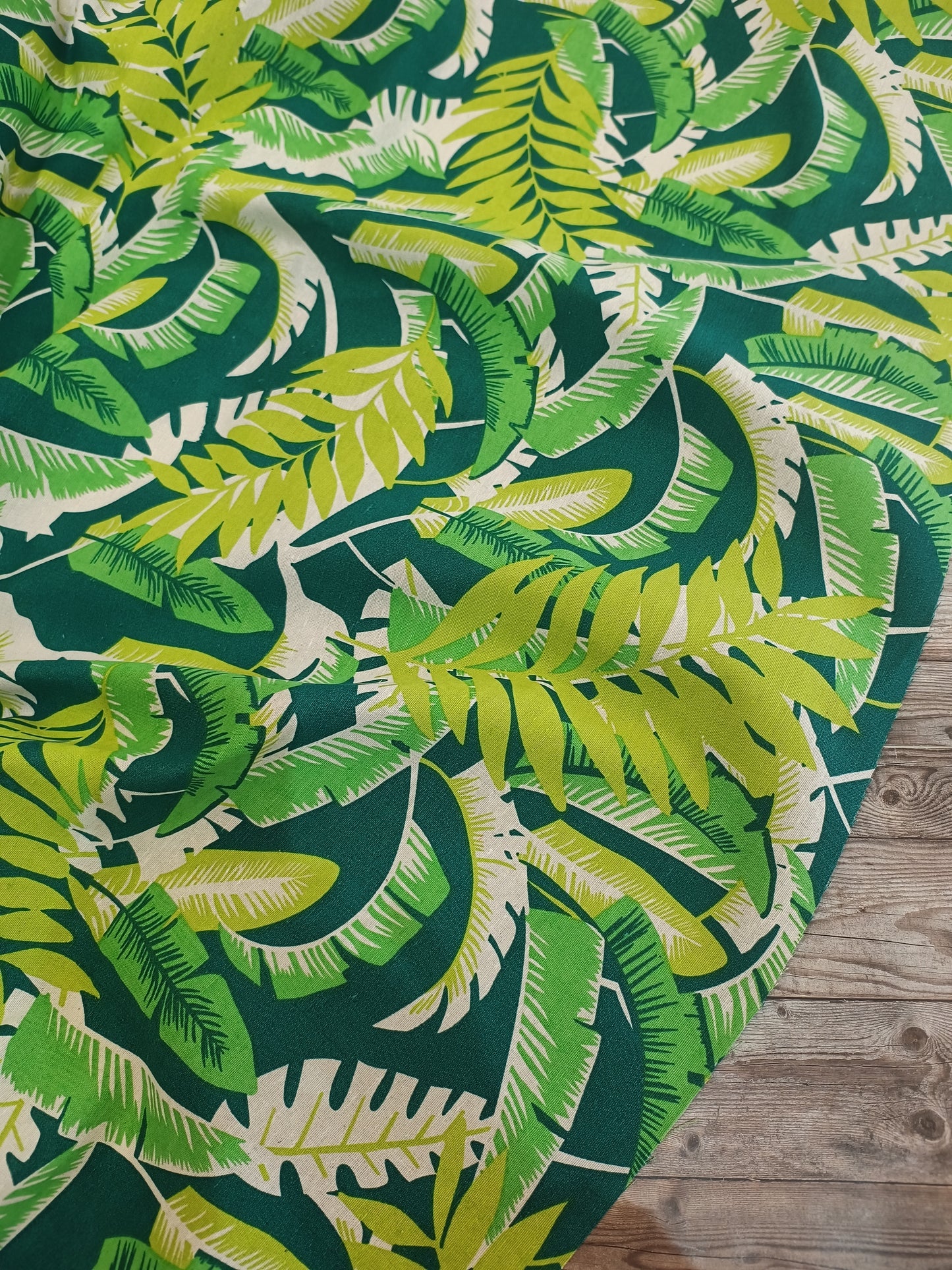 Leaf Jungle Canvas