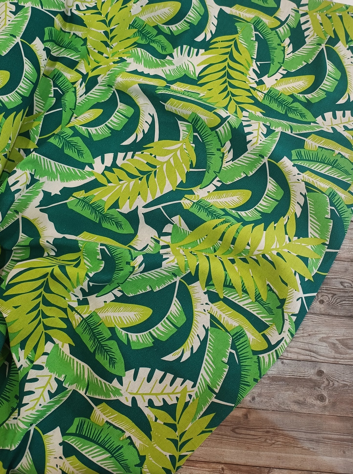 Leaf Jungle Canvas