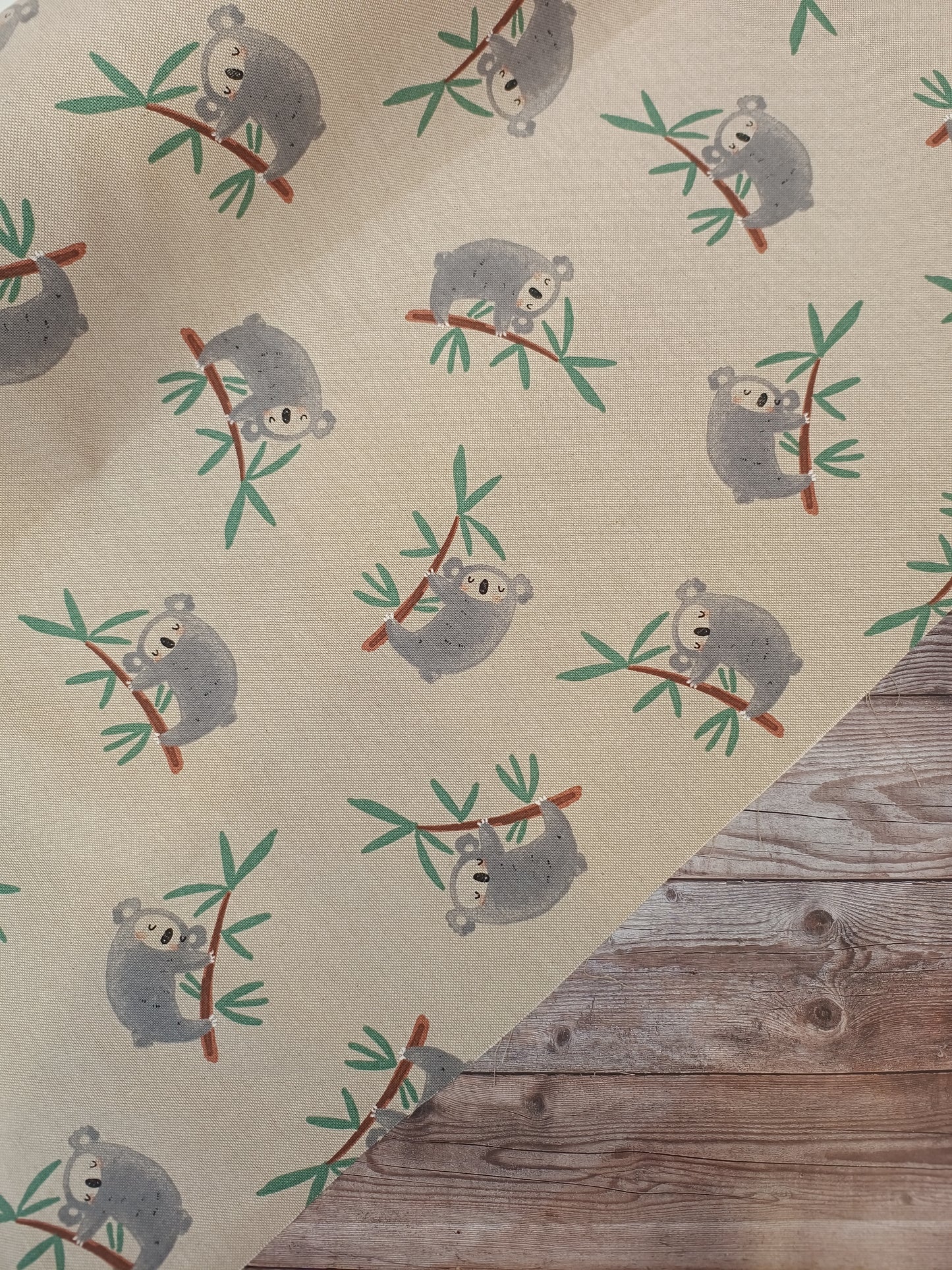 Koala Canvas
