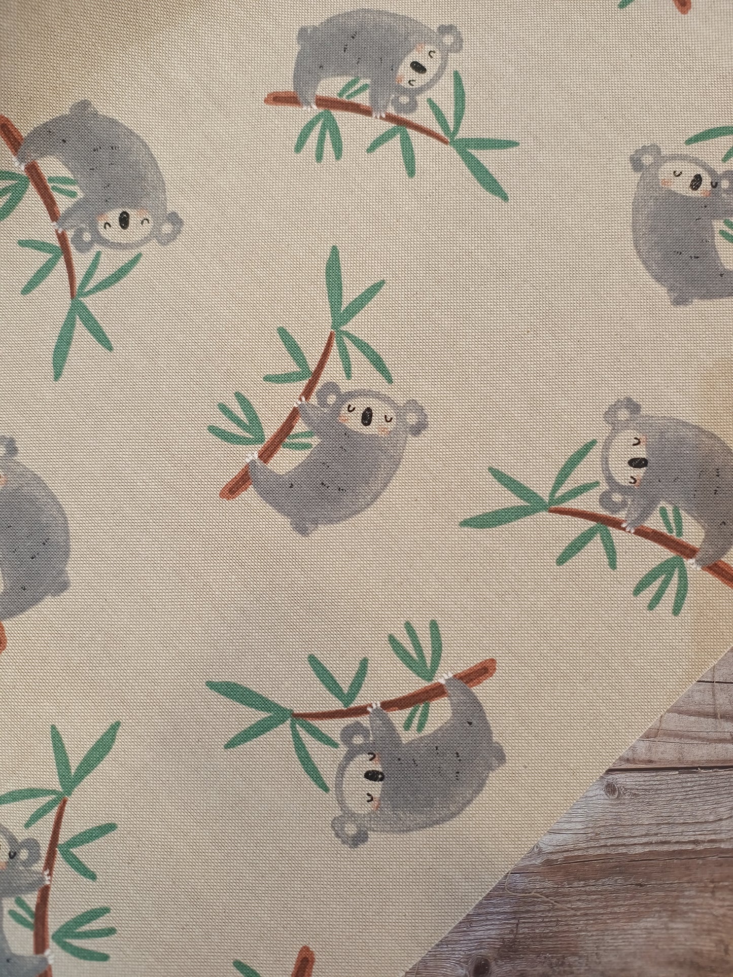 Koala Canvas