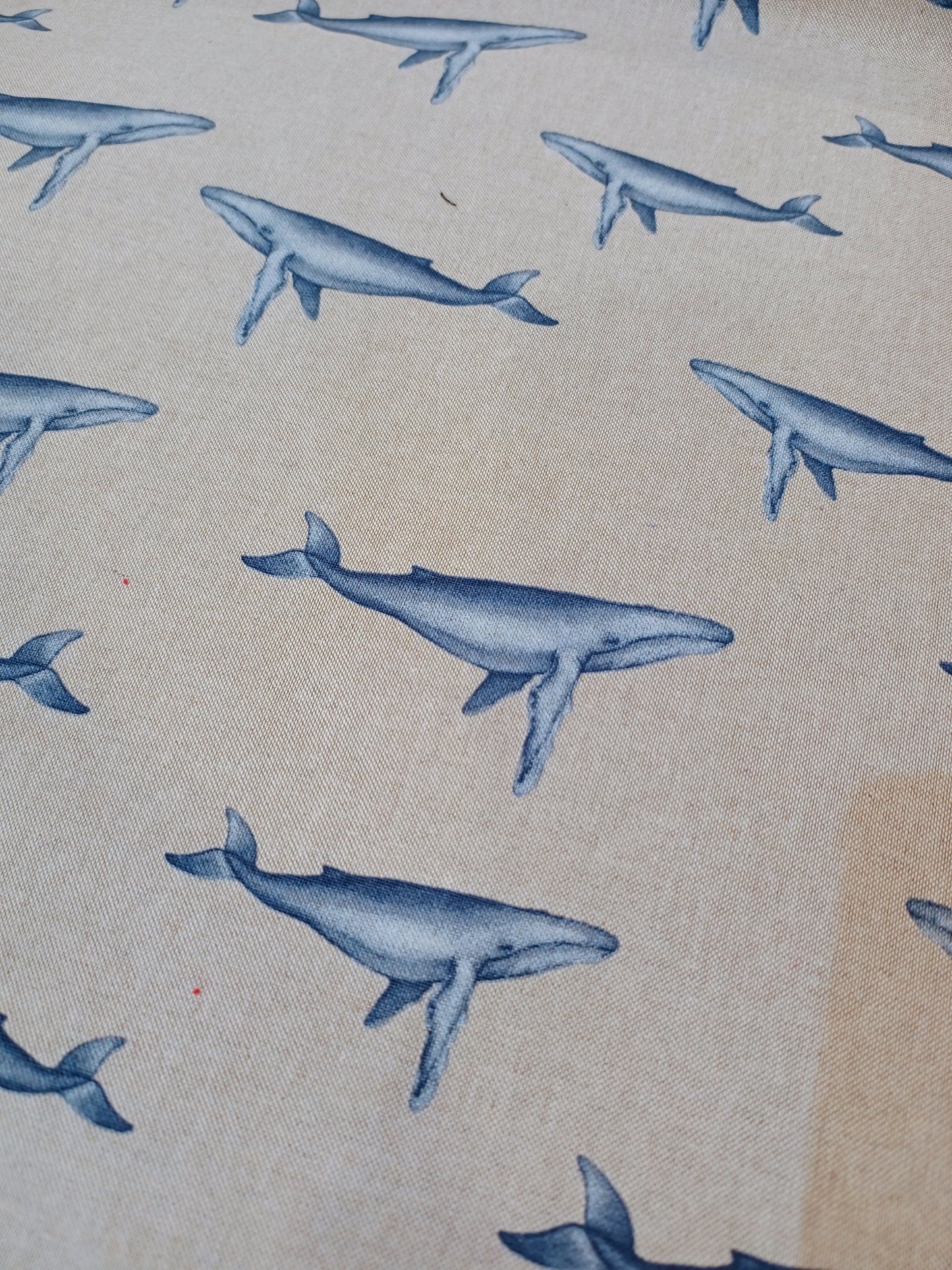 Humpback Whales Canvas