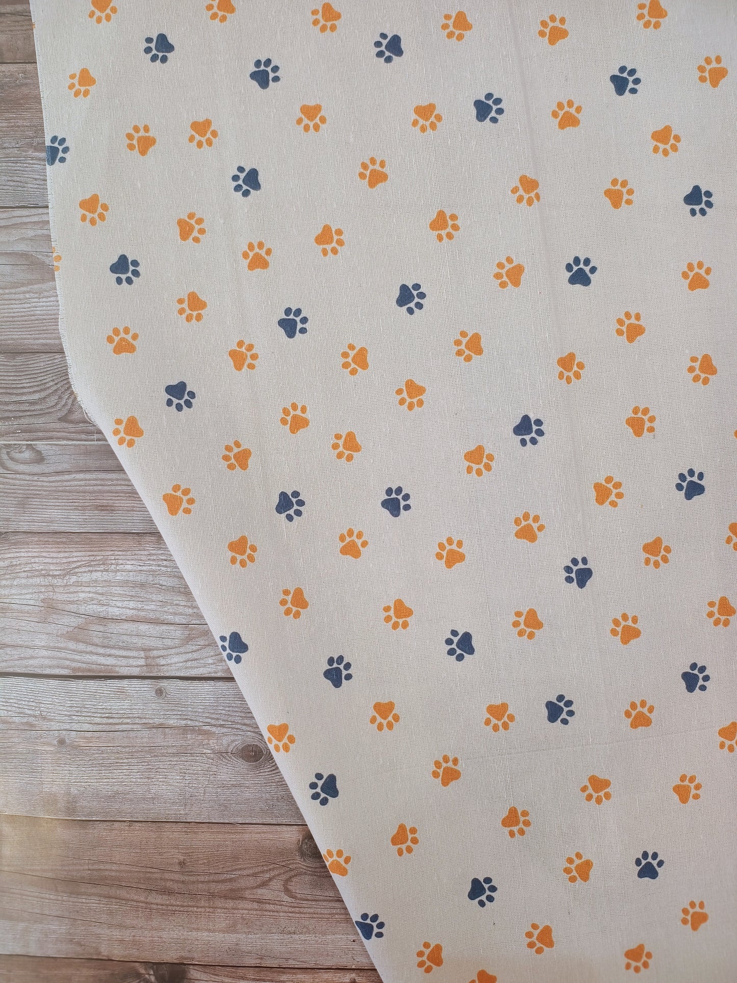 Paw Print Canvas