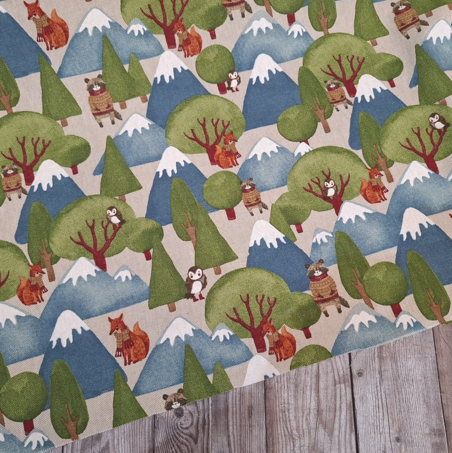Forest Animals Canvas