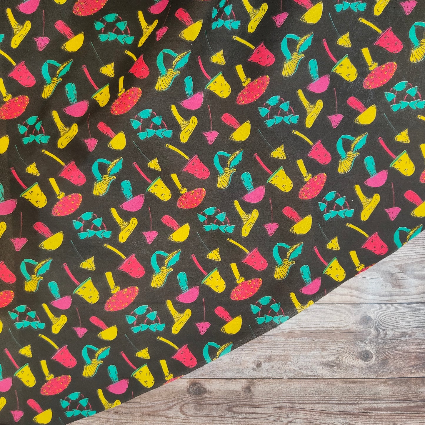 Fungi on Black Polycotton
