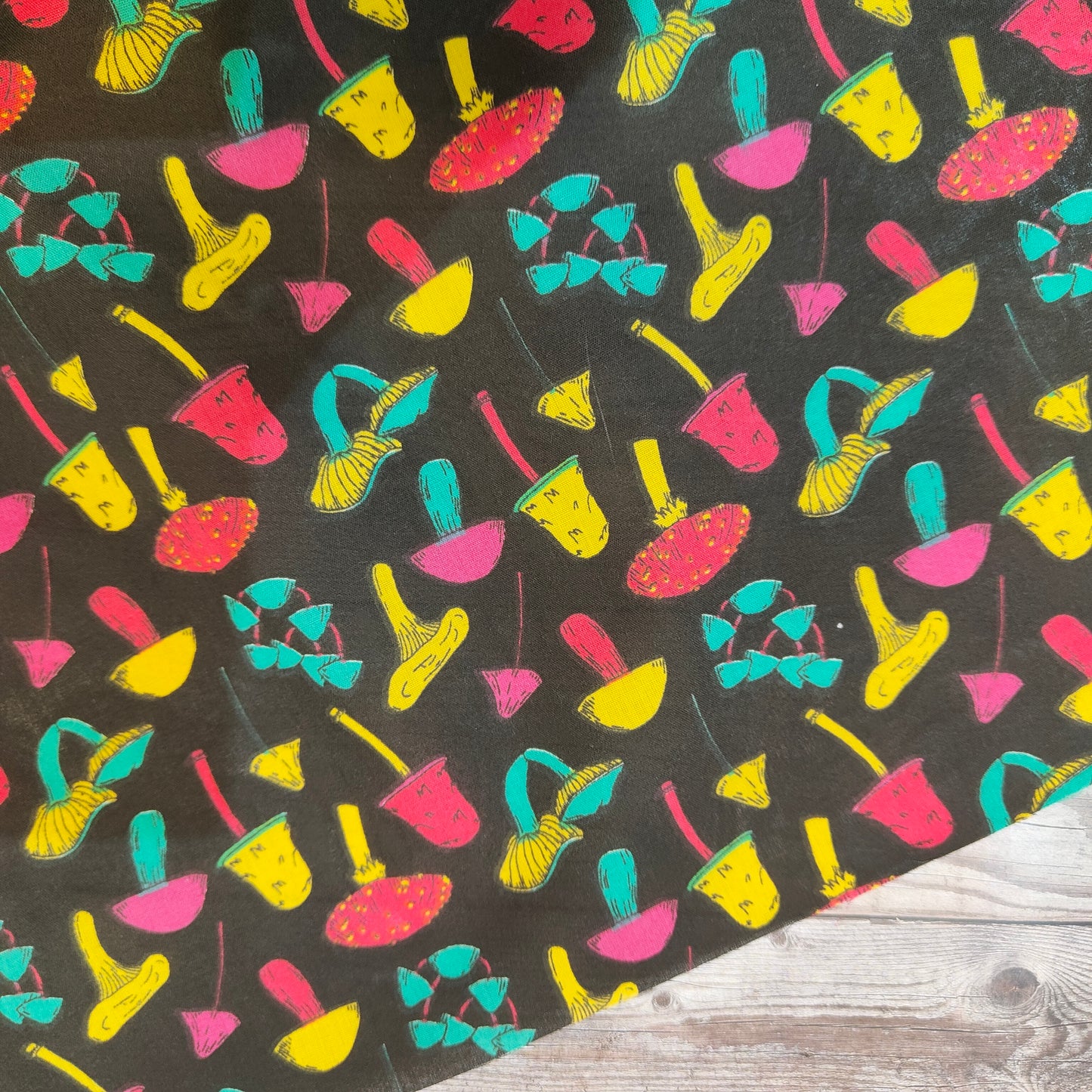 Fungi on Black Polycotton