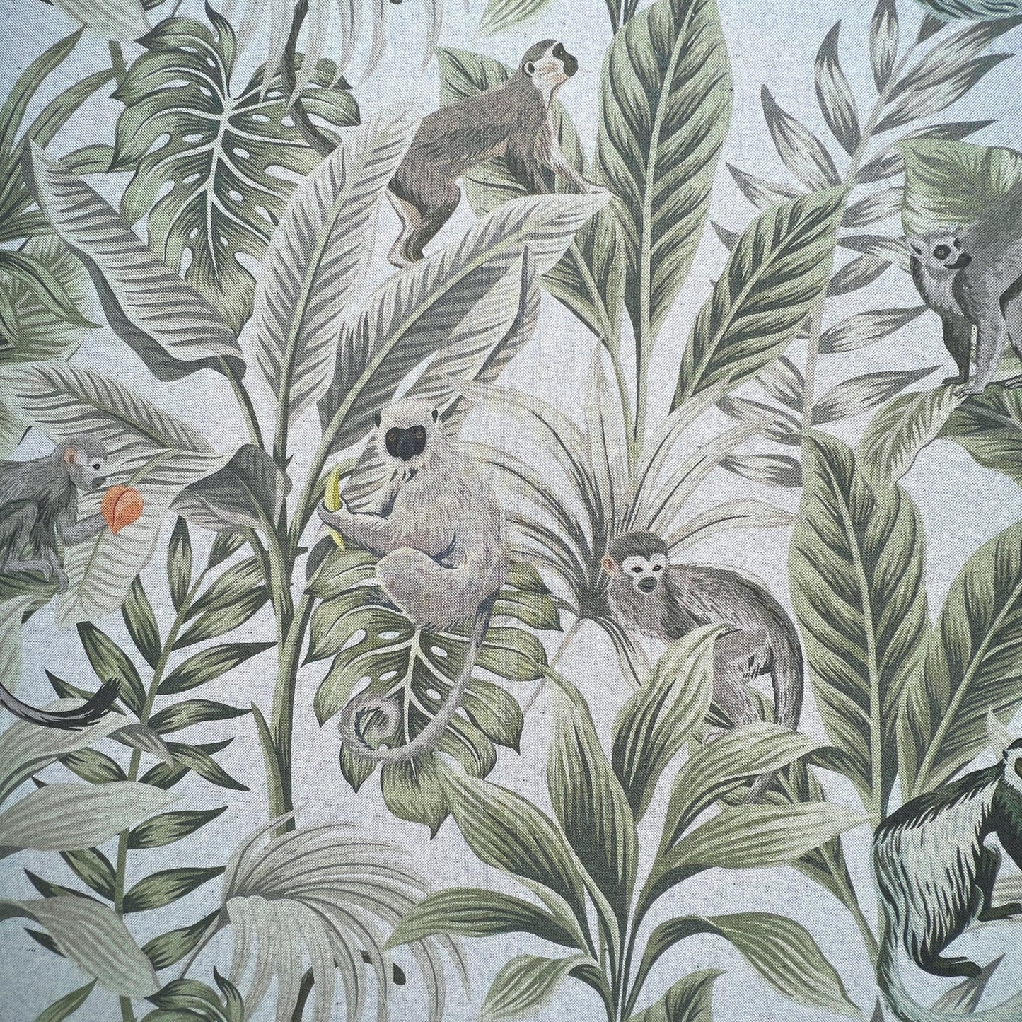 Madagascar Canvas