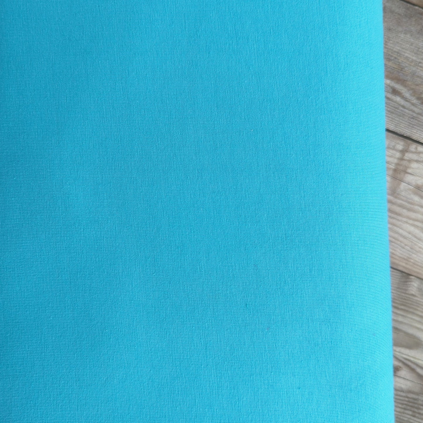 Plain Aqua Blue Cotton Jersey