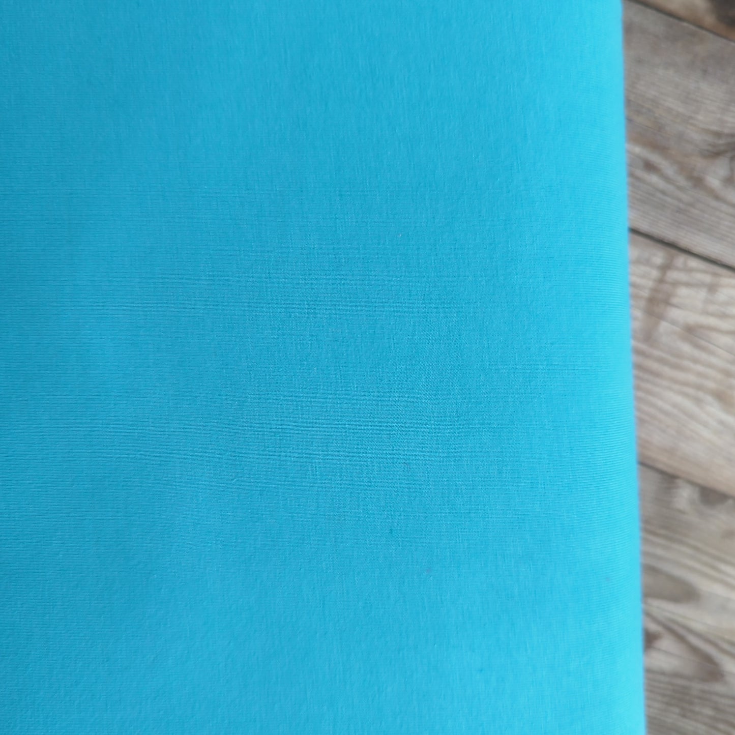Plain Aqua Blue Cotton Jersey