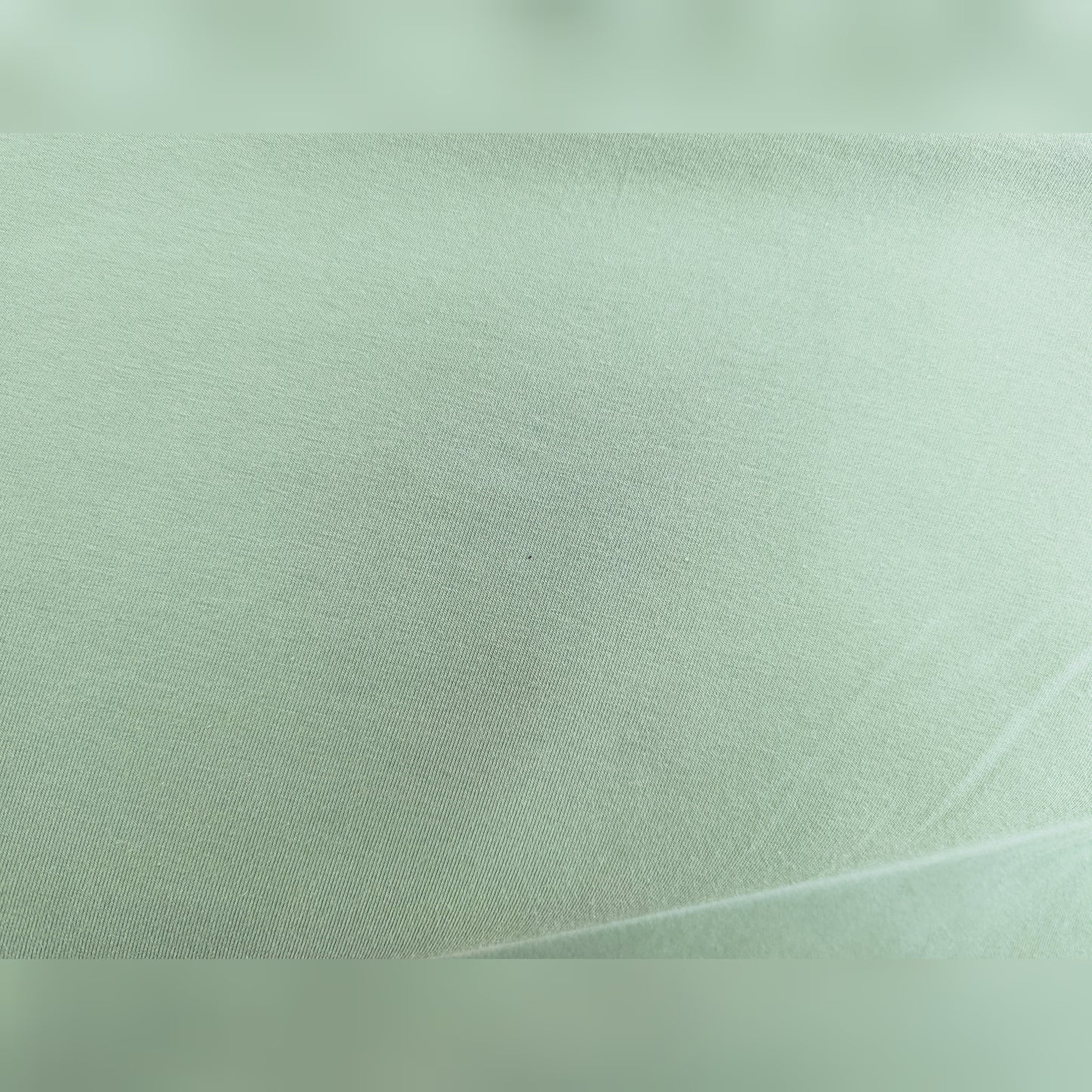 Plain Duck Egg Cotton Jersey