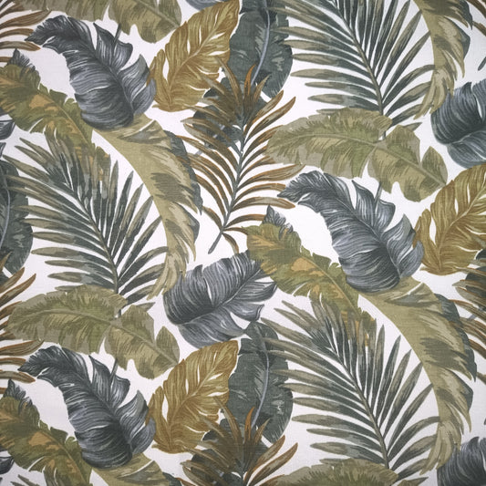 Fern Leaves Canvas