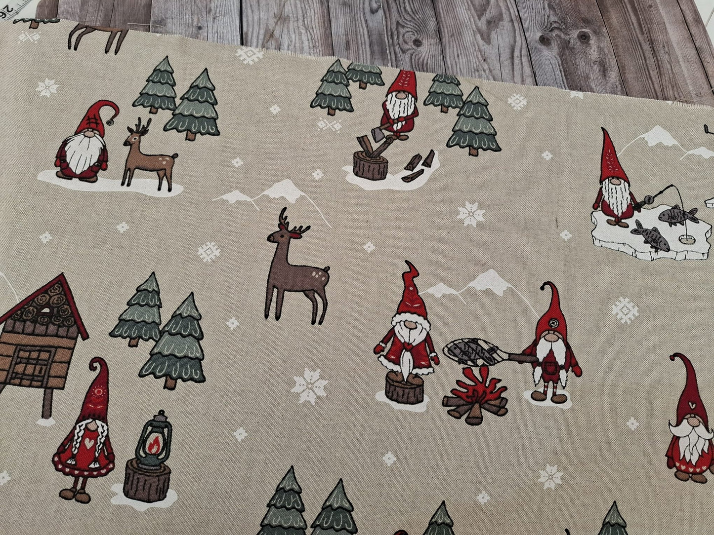 Christmas Gnomes Canvas