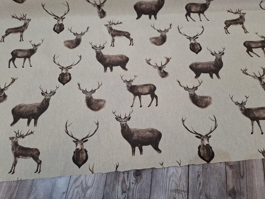 Stags Canvas