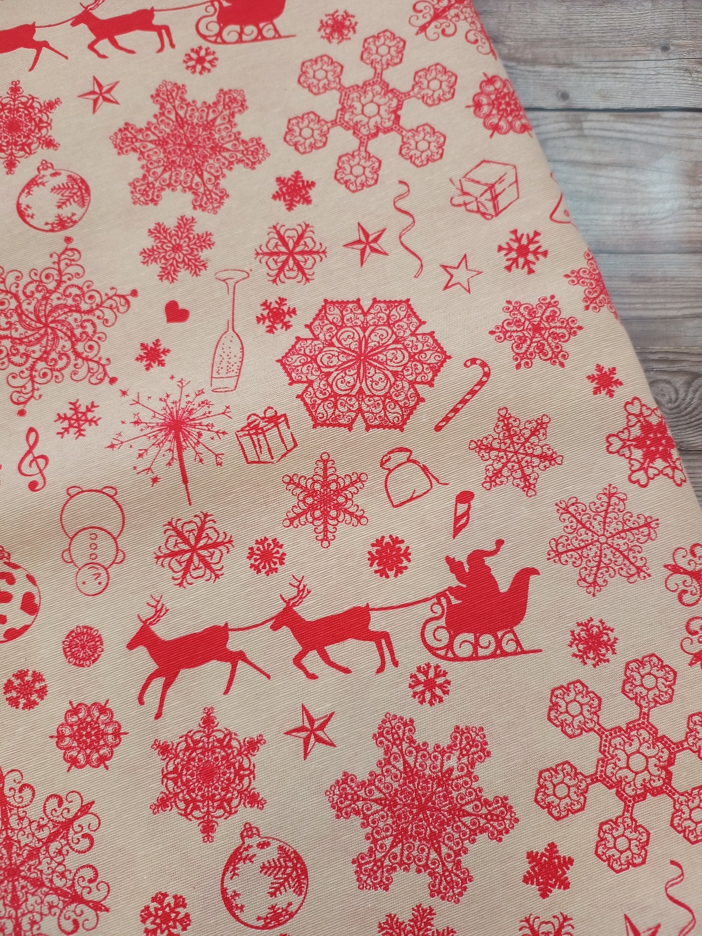 Christmas Canvas