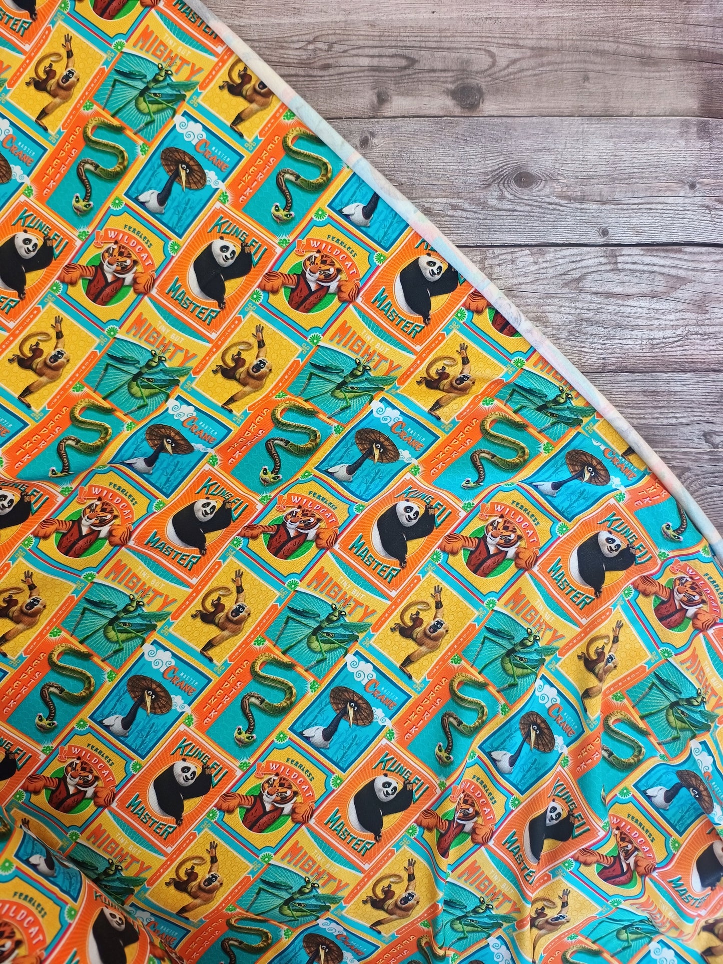 Kung Fu Panda Cotton Jersey