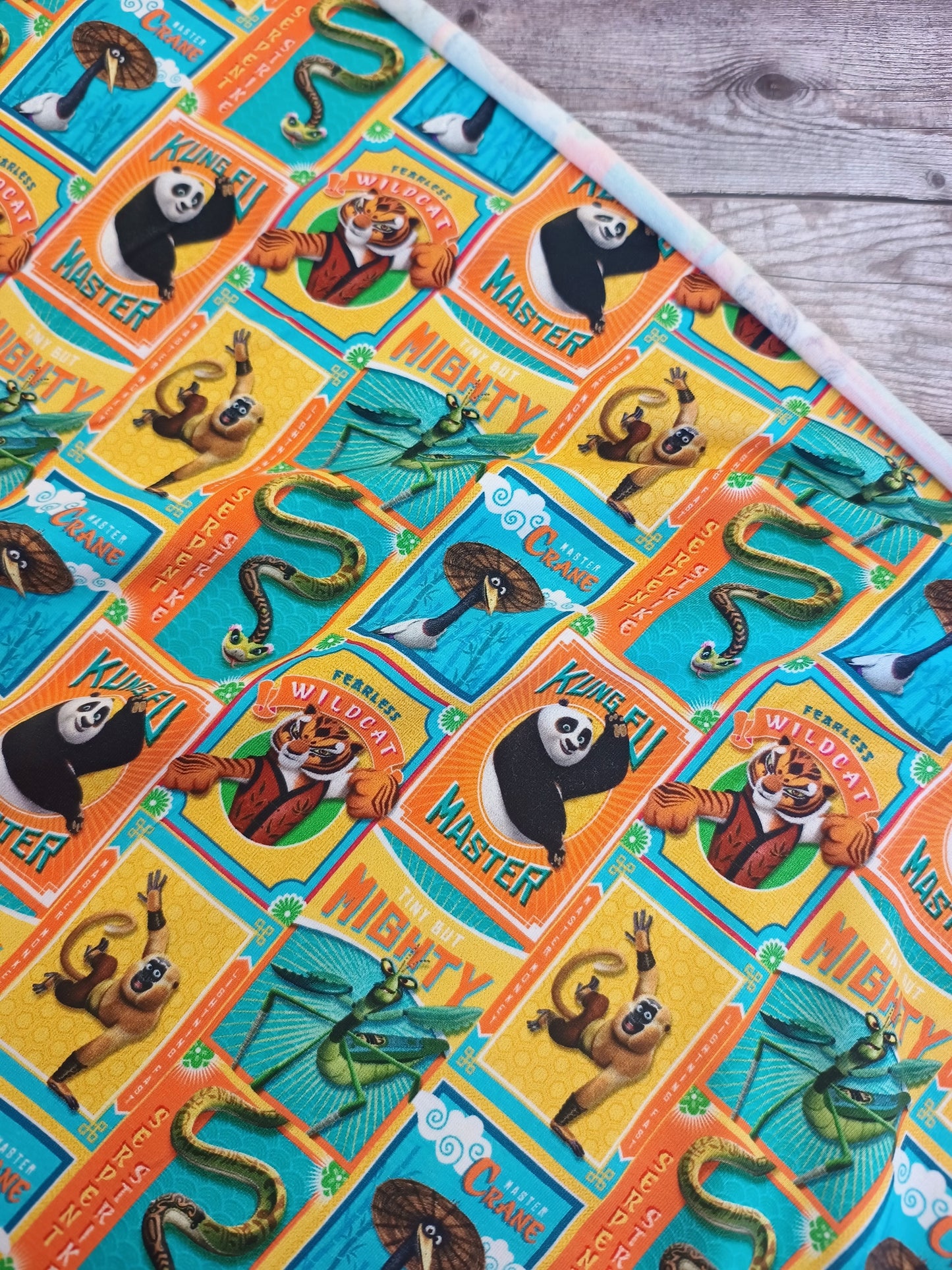 Kung Fu Panda Cotton Jersey